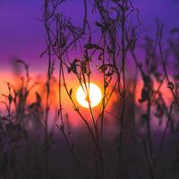 Vitamin D - why it's important in Fibromyalgia, and Chronic Fatigue